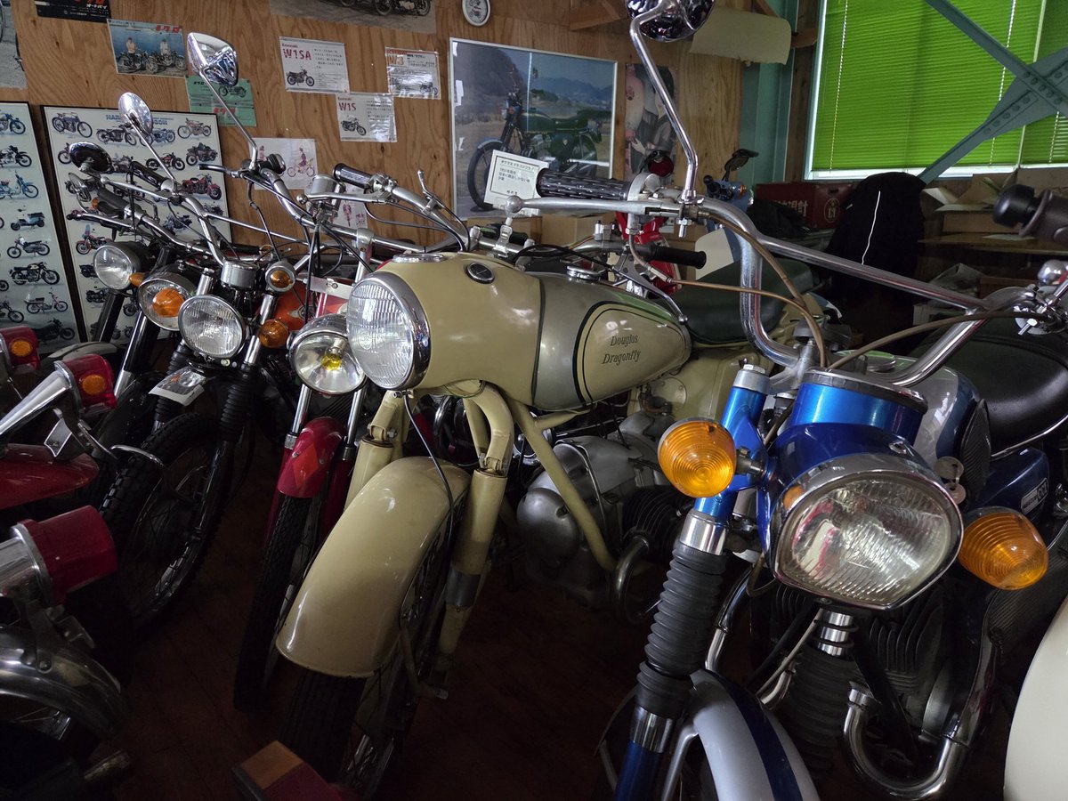 ﾌｫﾚｽﾄ tweet media