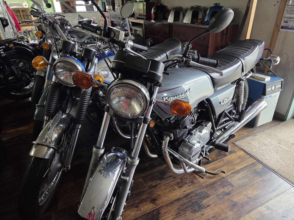 ﾌｫﾚｽﾄ tweet media