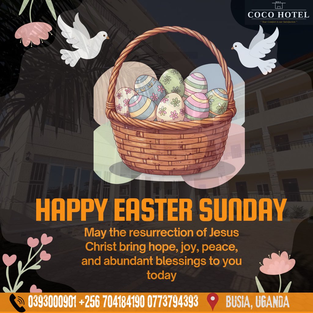 COCO HOTEL Busia tweet media