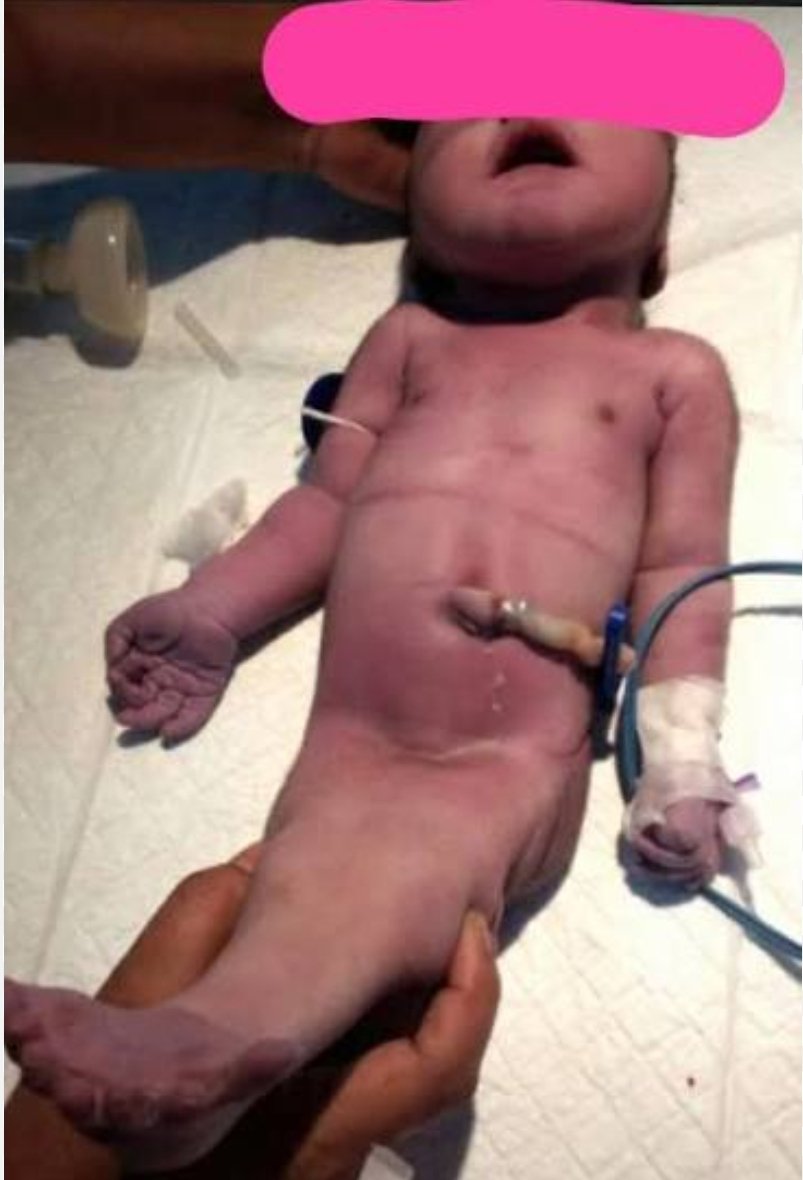 Bore me Mr. President tweet media