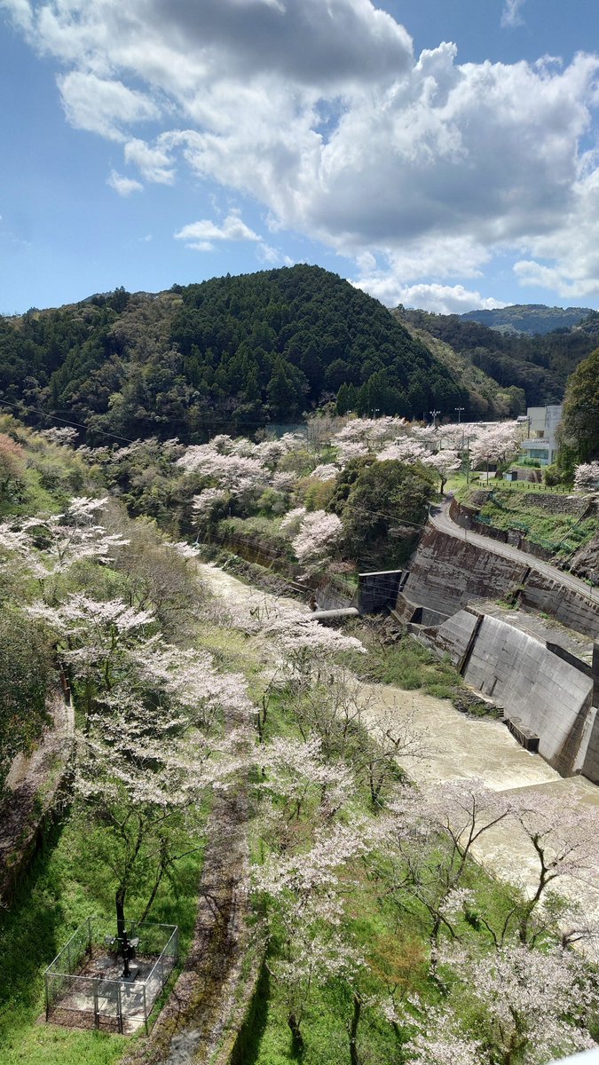 ばっくす tweet media