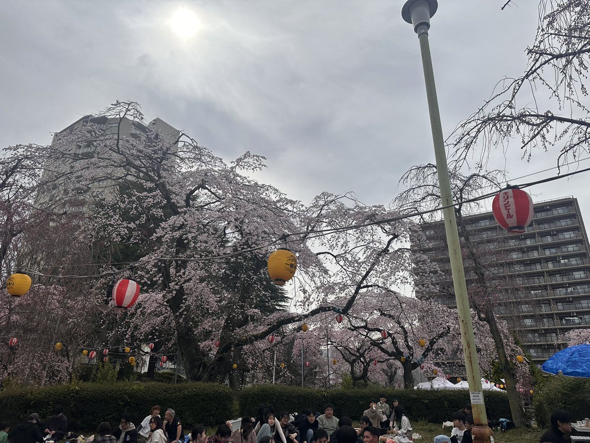 ミルクティー tweet media