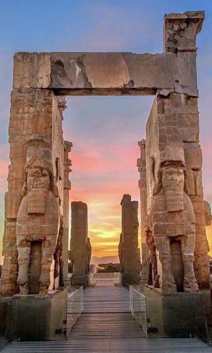 Hamid Hassanzadeh tweet media