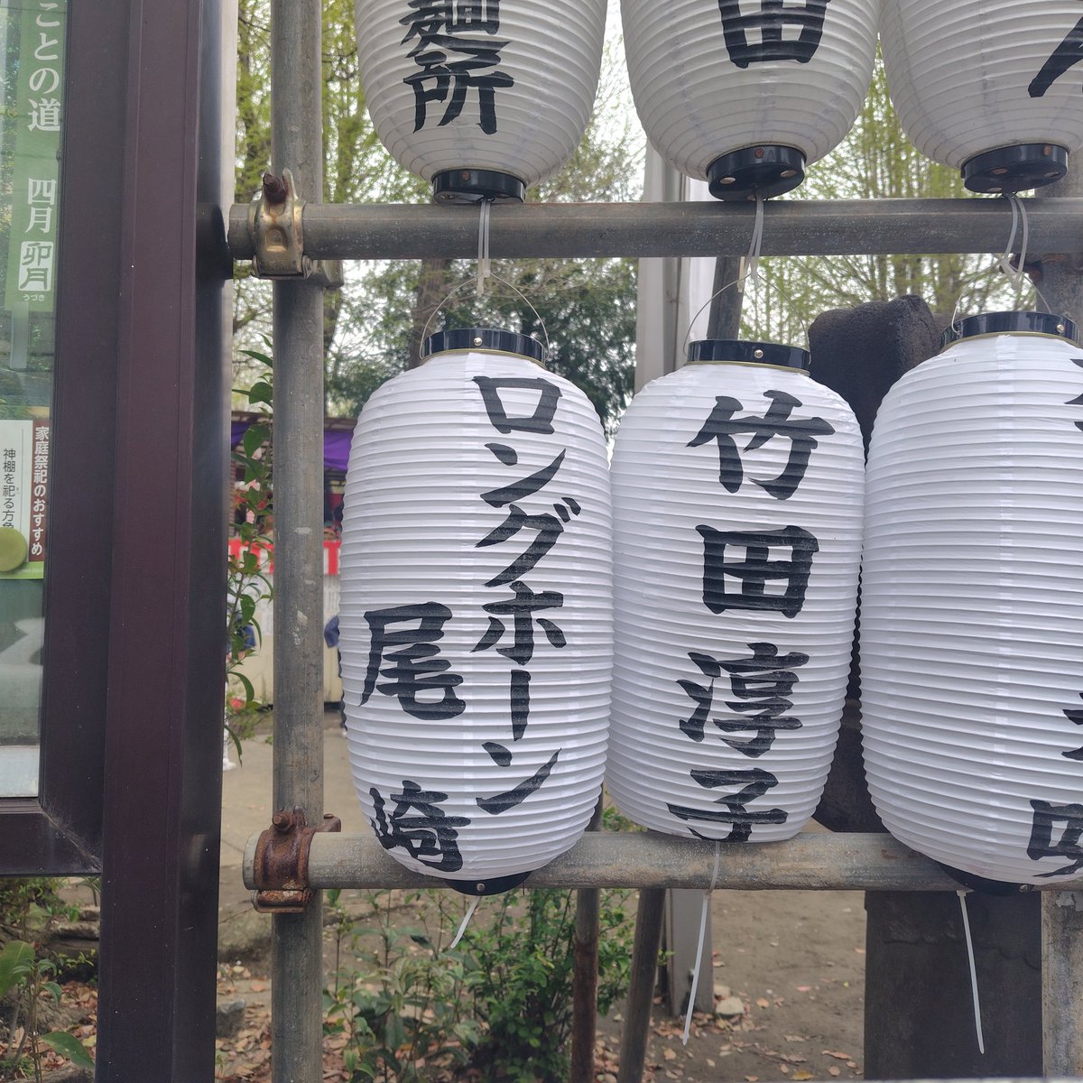 加藤ちゆ(よこおとめ・ちゆこ) tweet media