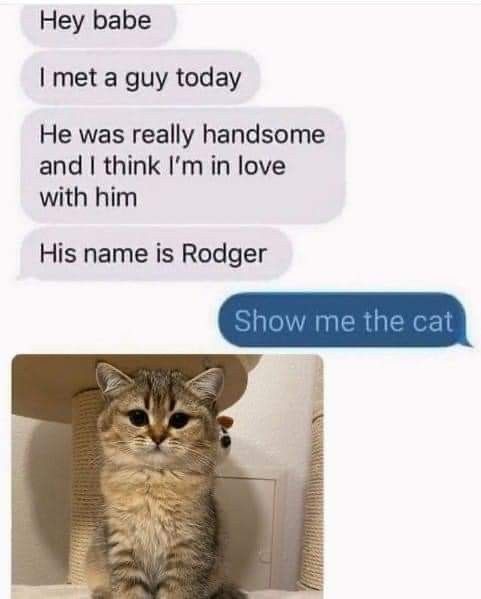 Posts Of Kittens🐾 tweet media