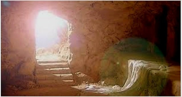 Laura 🐷🐸🐞🐍☯️ tweet media