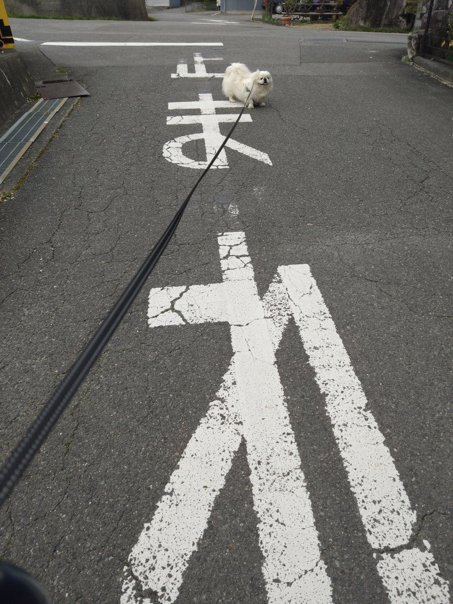何故かいつもこの交差点で止まって動かない、