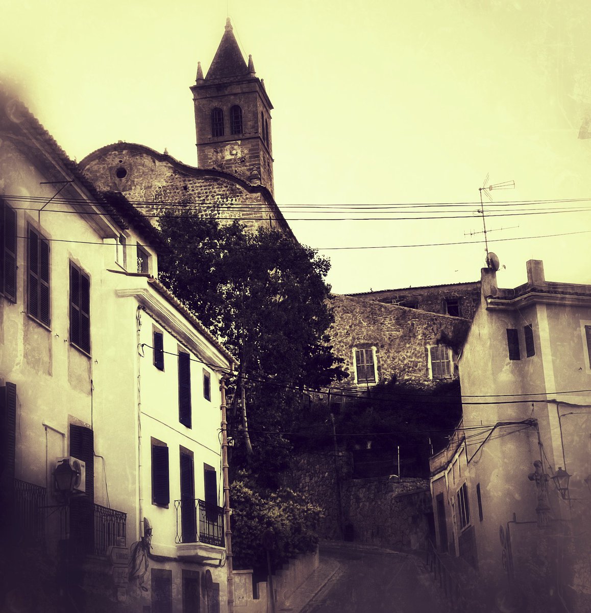 Michael Roth 🇪🇺🇺🇦🇮🇱🇬🇪 tweet media