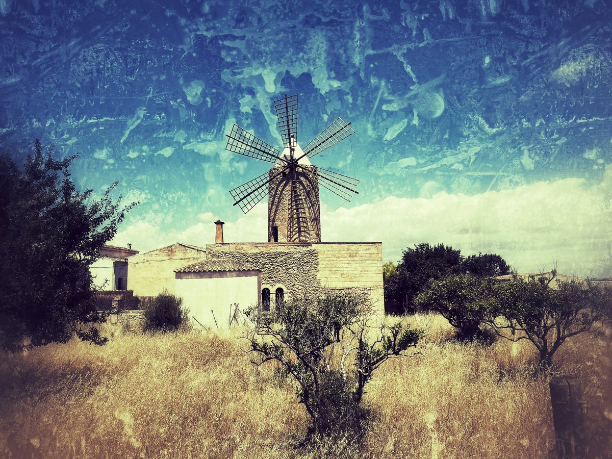 Michael Roth 🇪🇺🇺🇦🇮🇱🇬🇪 tweet media