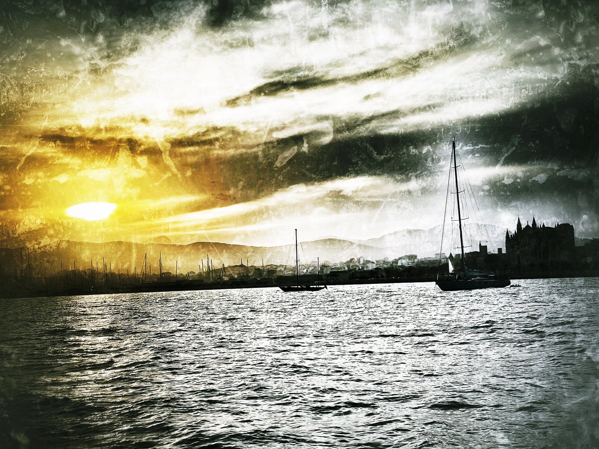 Michael Roth 🇪🇺🇺🇦🇮🇱🇬🇪 tweet media