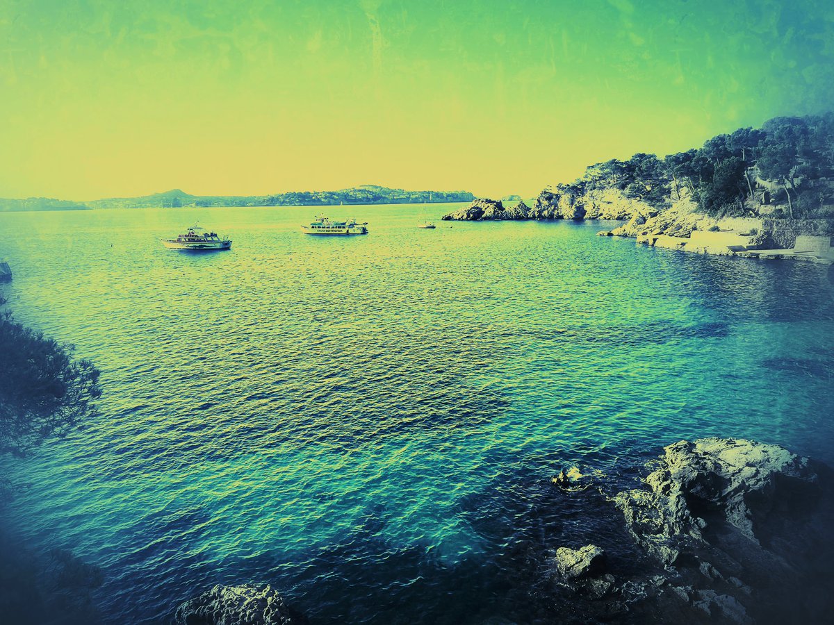 Michael Roth 🇪🇺🇺🇦🇮🇱🇬🇪 tweet media