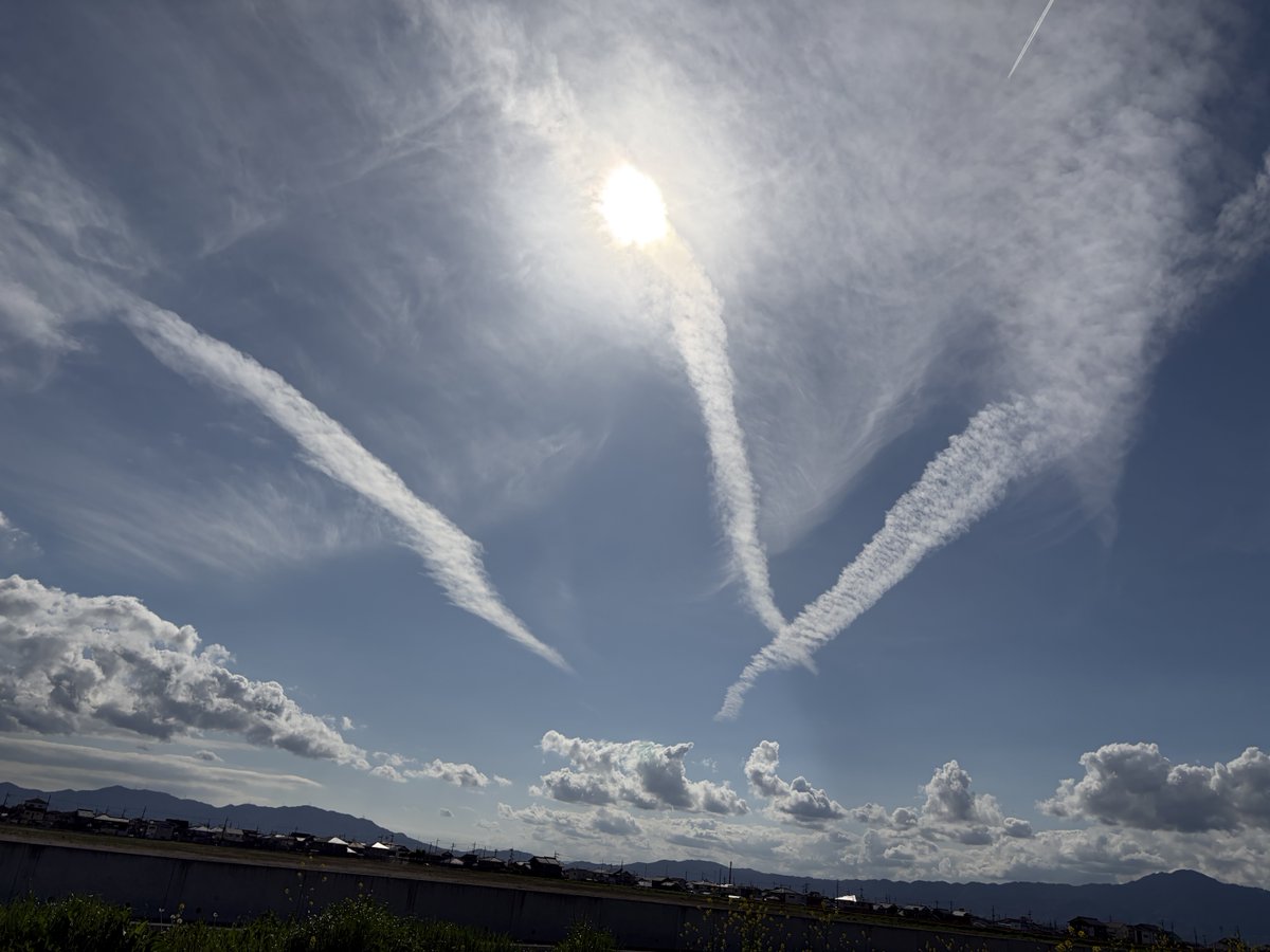 Shimashima tweet media