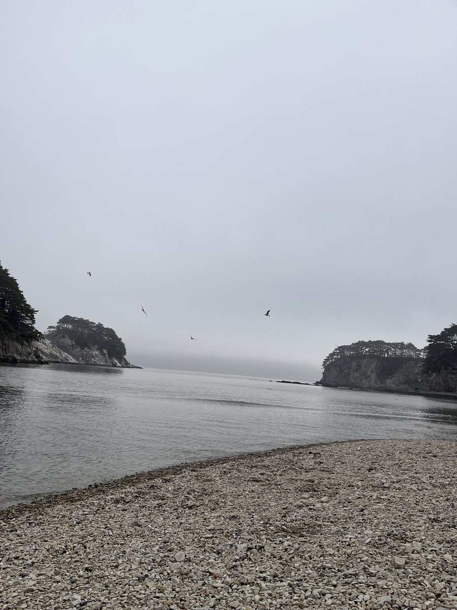 あぽろ tweet media