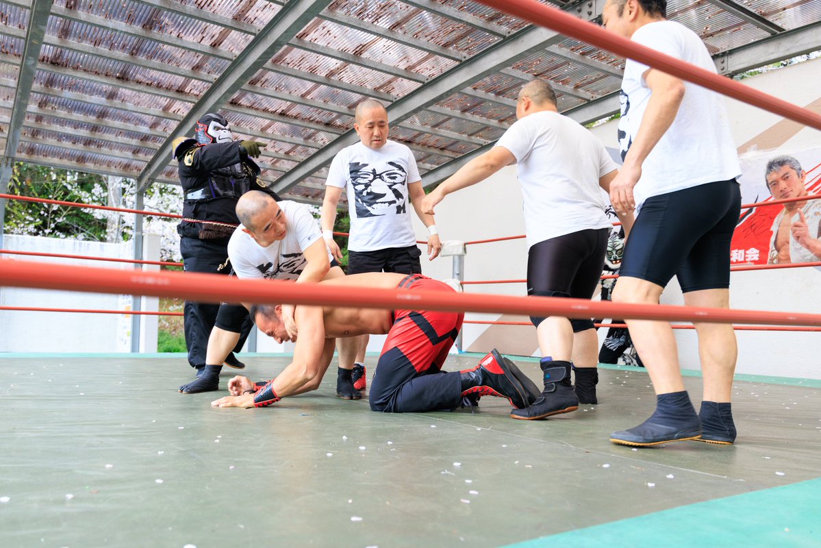 塙 純一 Hプロ･千葉ねわワ tweet media