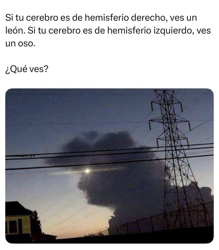 DonRamón tweet media