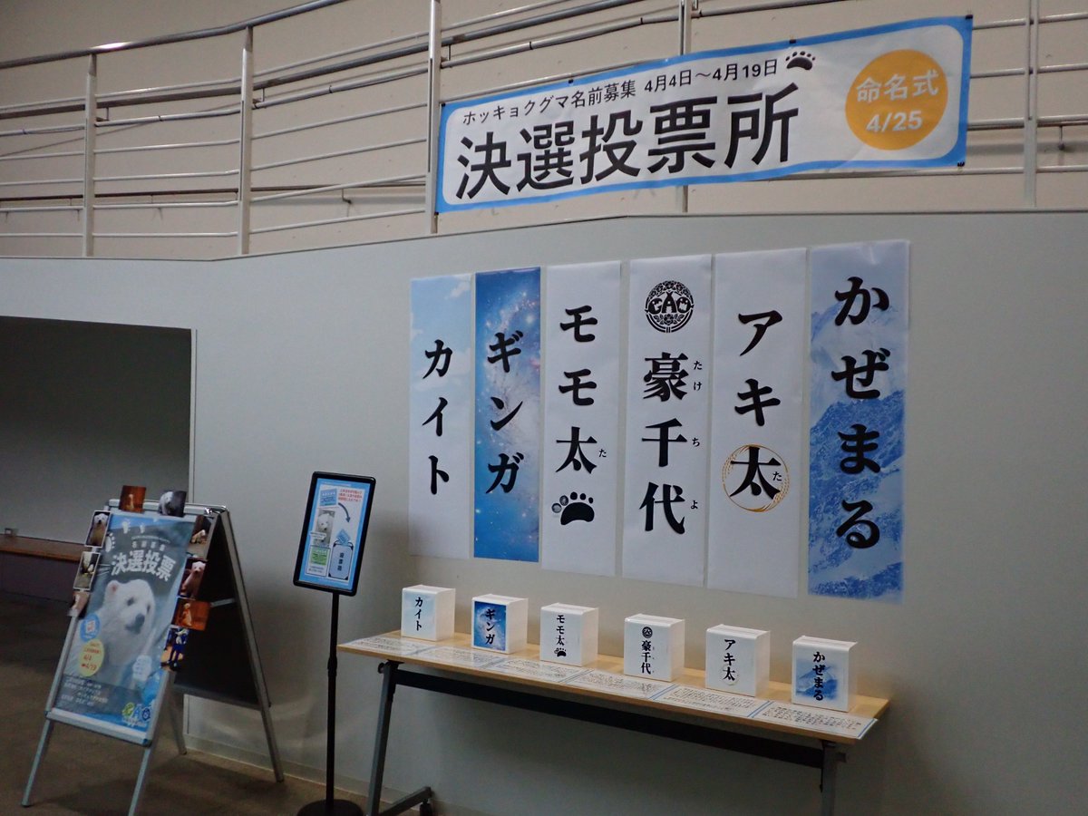 男鹿水族館GAO【公式】 tweet media