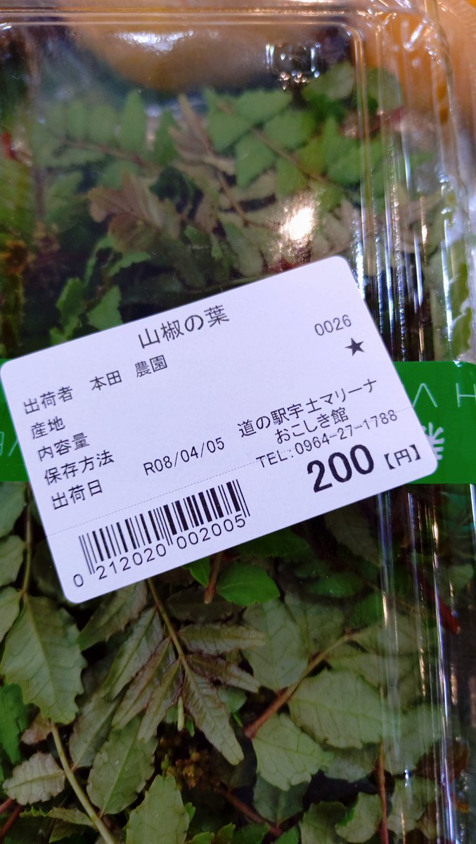 そばギャルとななみんさん！ tweet media