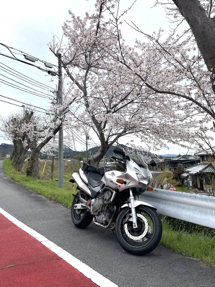 masas circle （京都在住　DTP・デザイナー） tweet media