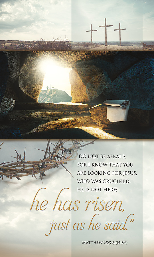 Daminous_Purity's tweet photo. Happy Easter and a most Blessed Paschal Triduum.
“He is not here, for he has risen, as he said.” — Matthew 28:6 🕊️✨
#Easter #HeIsRisen #CatholicUK
#JesusChrist
#JesusHasRisen #ChristHasRisen
#EasterBlessings #Easter #HappyEaster
#Resurrección #Resurrection #ResurrectionDay https://t.co/LL9Yf5WR6Z