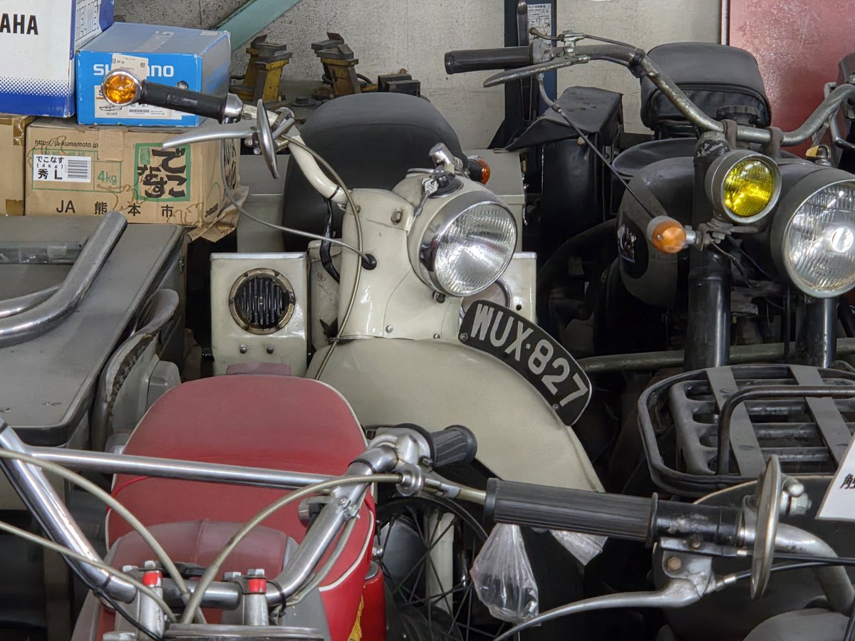 ﾌｫﾚｽﾄ tweet media