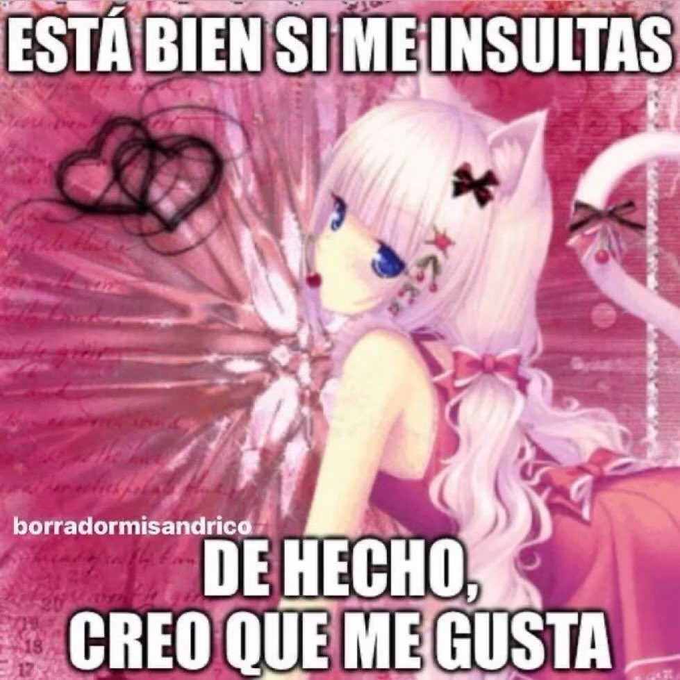 名保美 🎴 tweet media