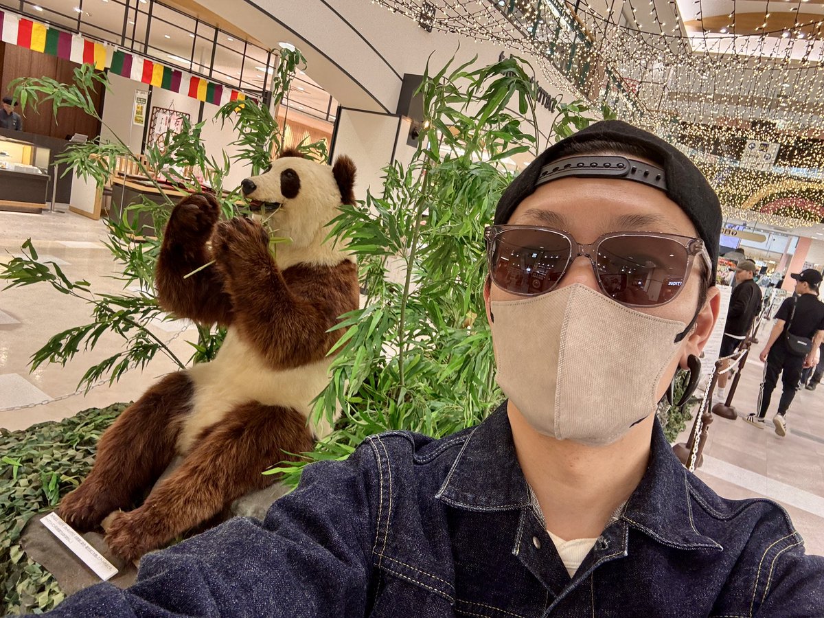 アール君🌙* :ﾟ tweet media