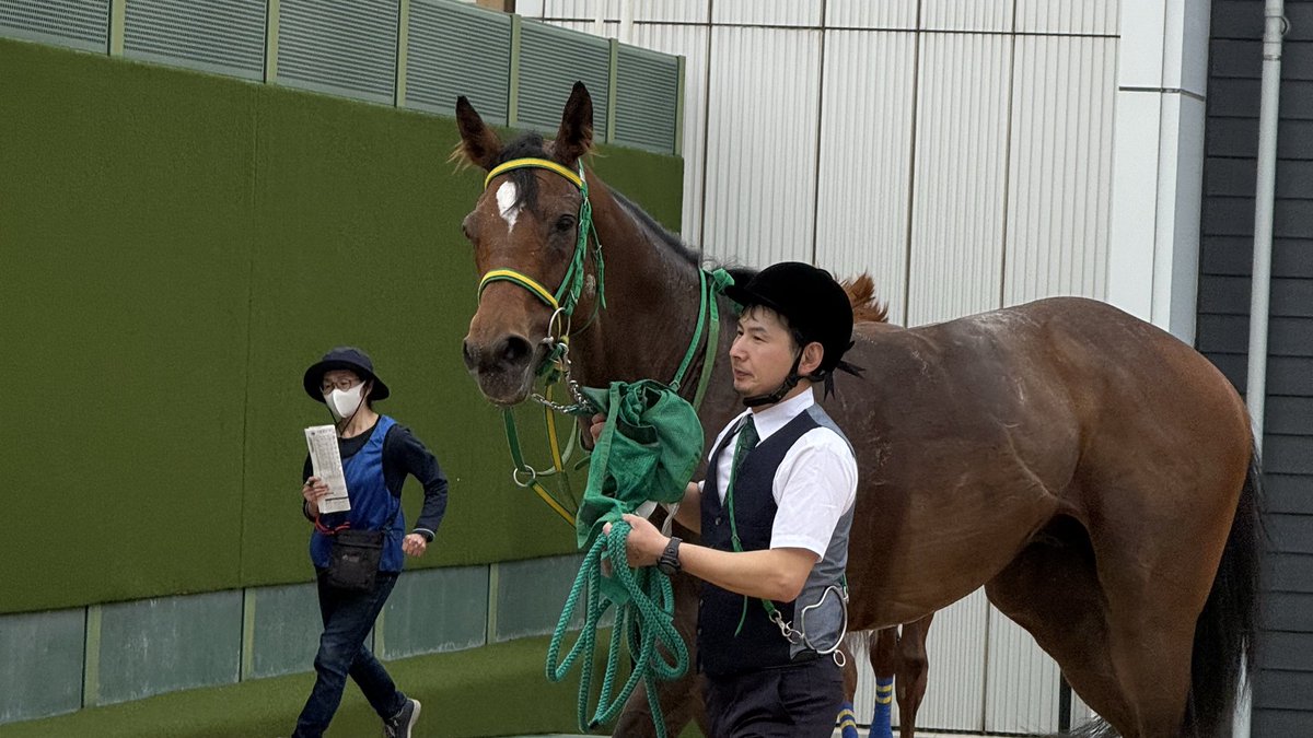 Energyd43939705's tweet photo. 昇級戦、しっかりレースできていました。
チカラはは出せたかなと思います。レース後の関係者の方々にも笑顔がありました。
ラオラシオン、おつかれさま！
#ラオラシオン https://t.co/FG0PkXjXR2
