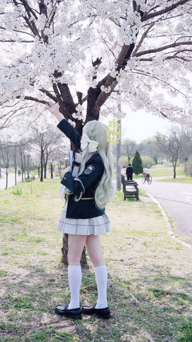 MoLoArchive's tweet photo. #ブルアカ

Sakurai Miyo(ミヨ)

🌸📚~

📸 : gjcucc00 https://t.co/rklIcfhAWh