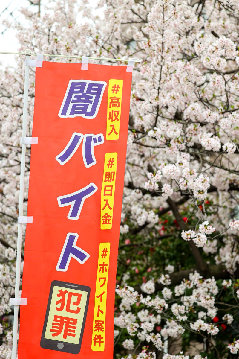 ニラオ tweet media