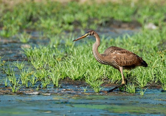 Sarah Clark tweet media