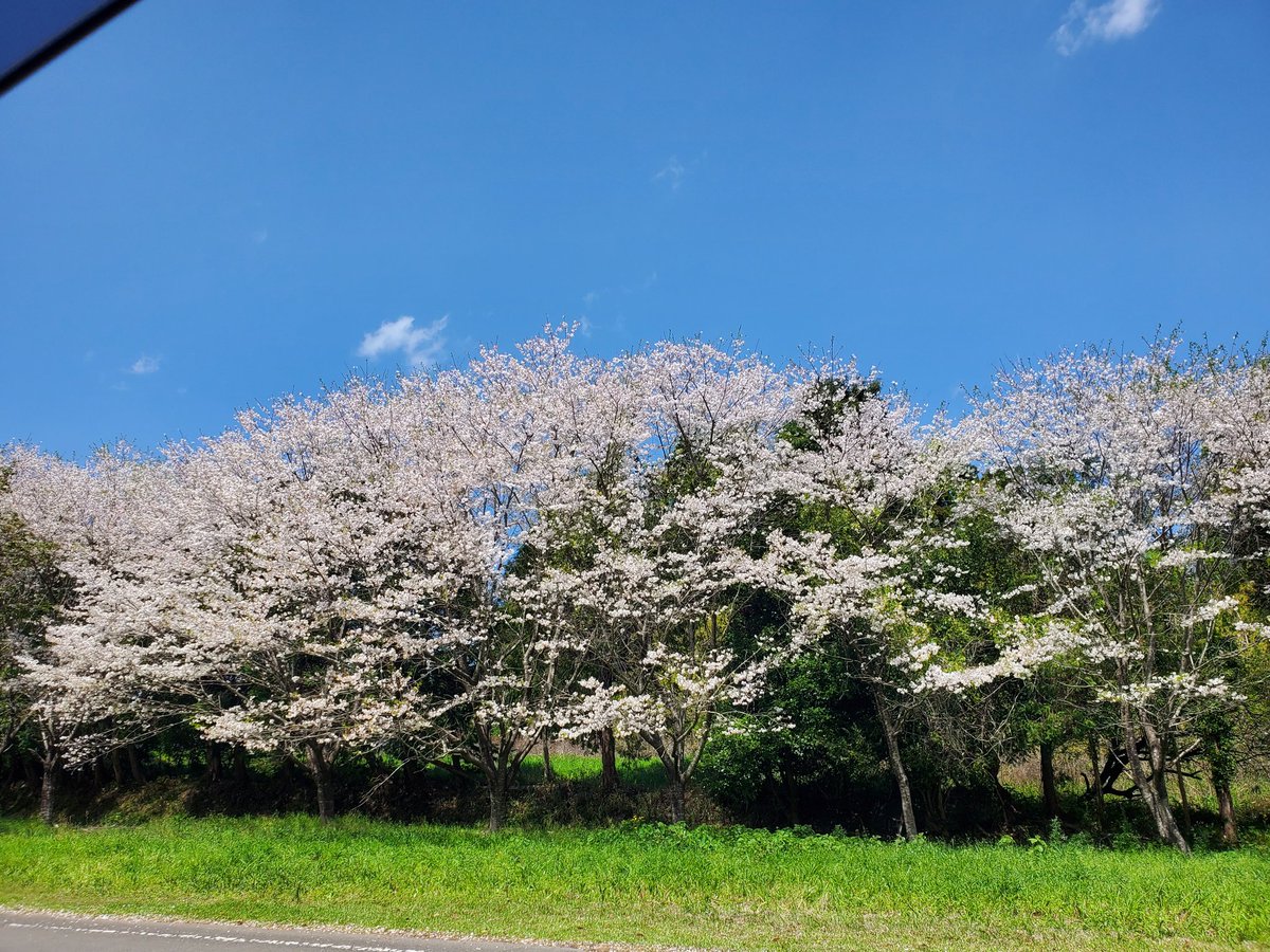 更科♉ tweet media