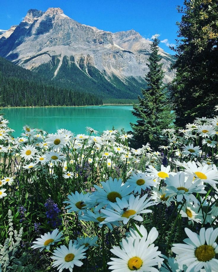 𒈙 Jack 𒈙 tweet media