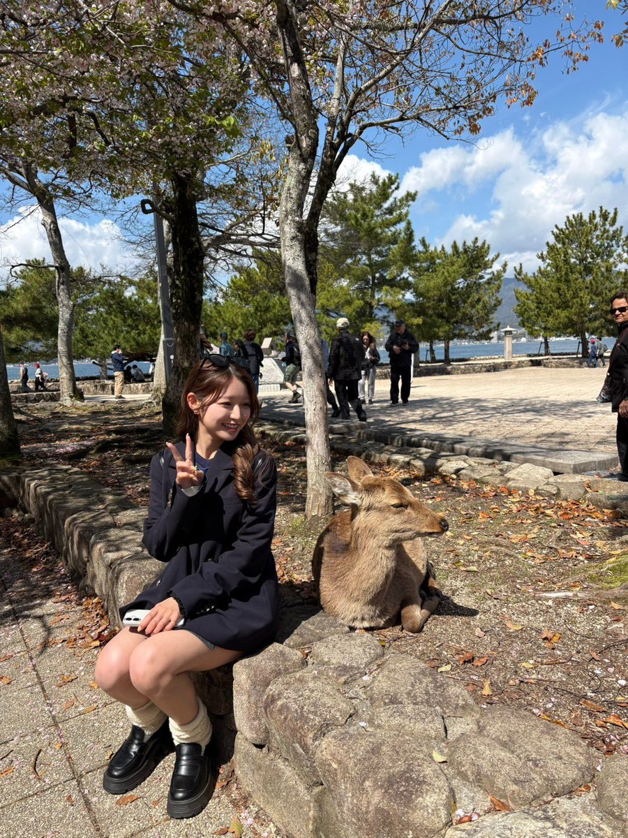 RFC- official tweet media