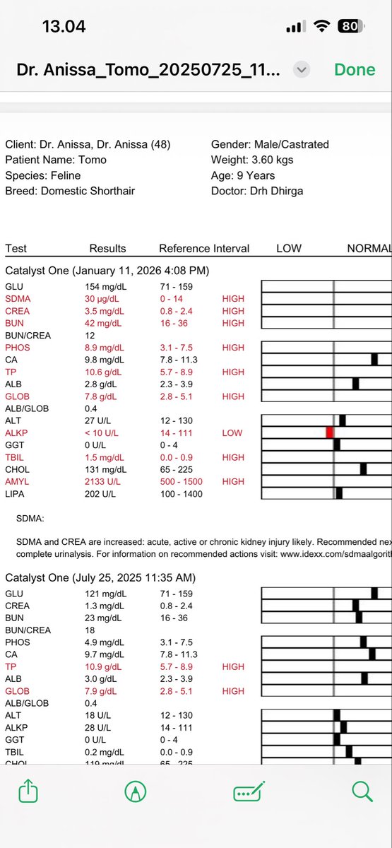 Anissa Nadia F tweet media