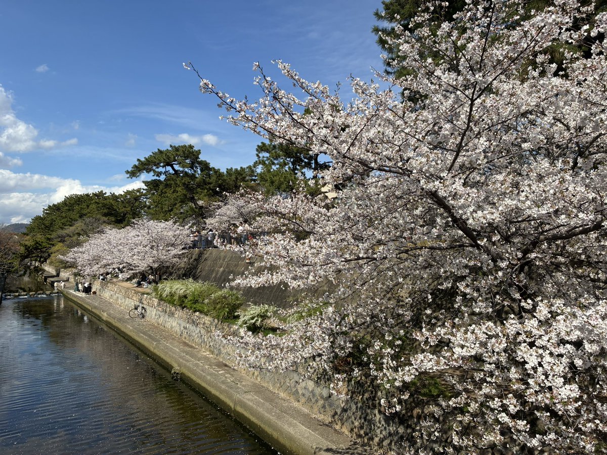 そらっち tweet media