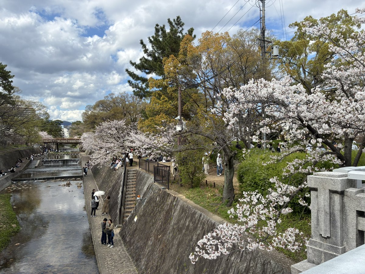 そらっち tweet media