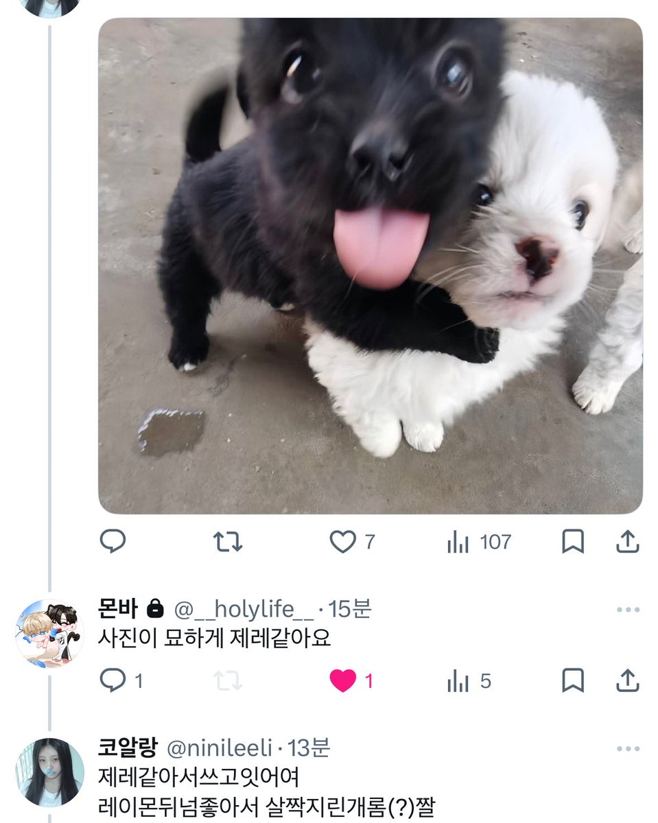 코알랑 tweet media