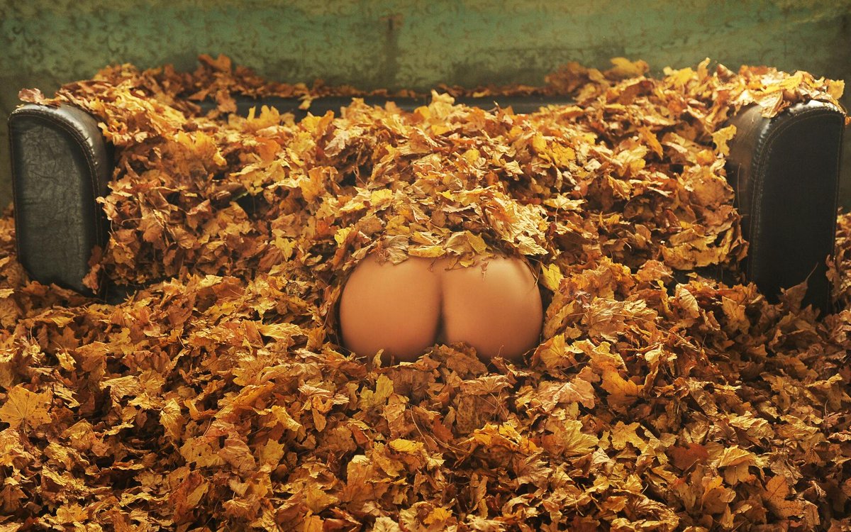 新发现 tweet media