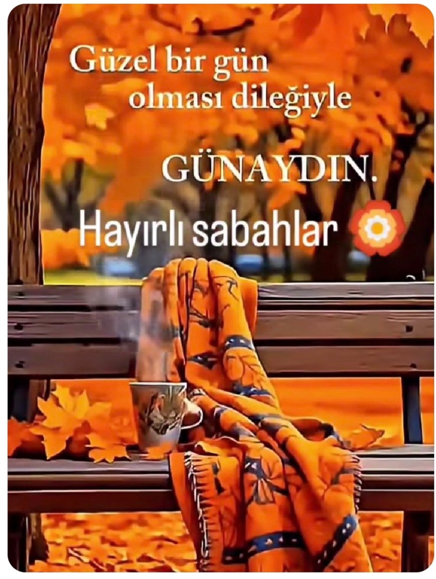 𝕊𝔼𝕍𝕀̇𝕃 𝔸𝕃𝕋𝔸𝕐 🇹🇷 tweet media