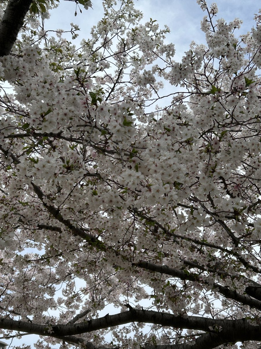 you(老年科) tweet media