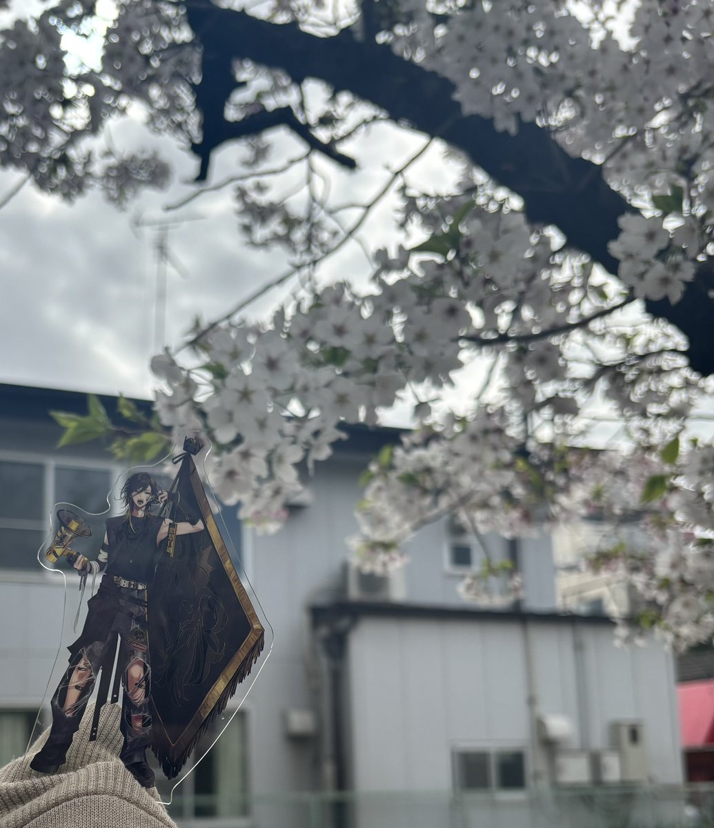 🎲タツボン🦁🔈⚡️ tweet media