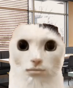 リオレウス tweet media