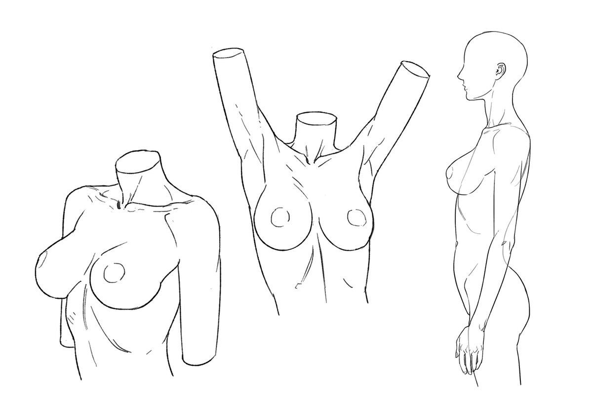 촉금 2 tweet media