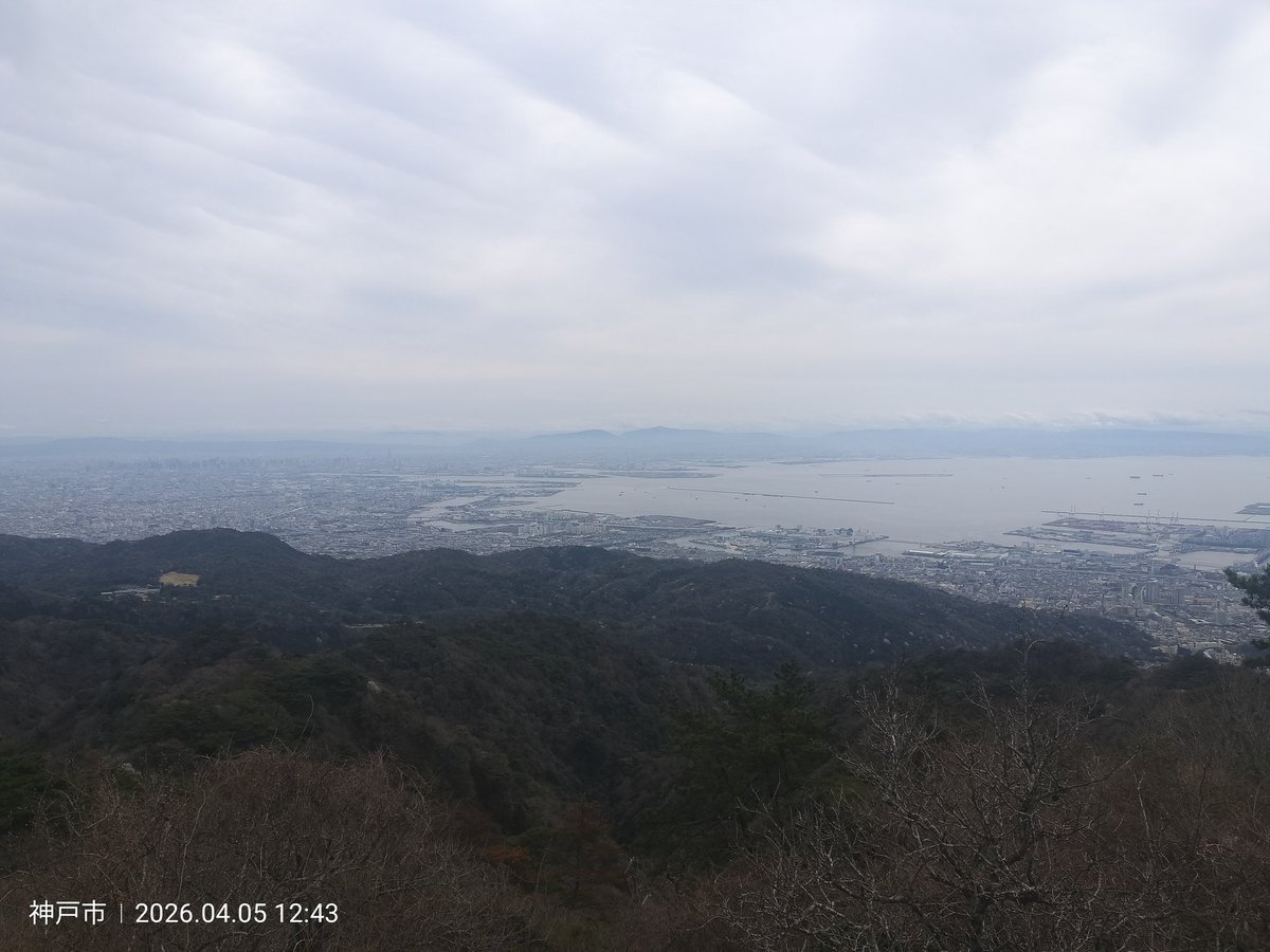 Chill（ちるっ！）🎀💉 男の娘♂︎🪼🪼🪼 tweet media