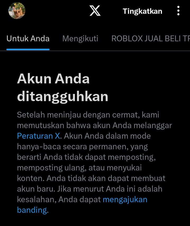 floꫂ❁ jual robux | wassap ajaa tweet media