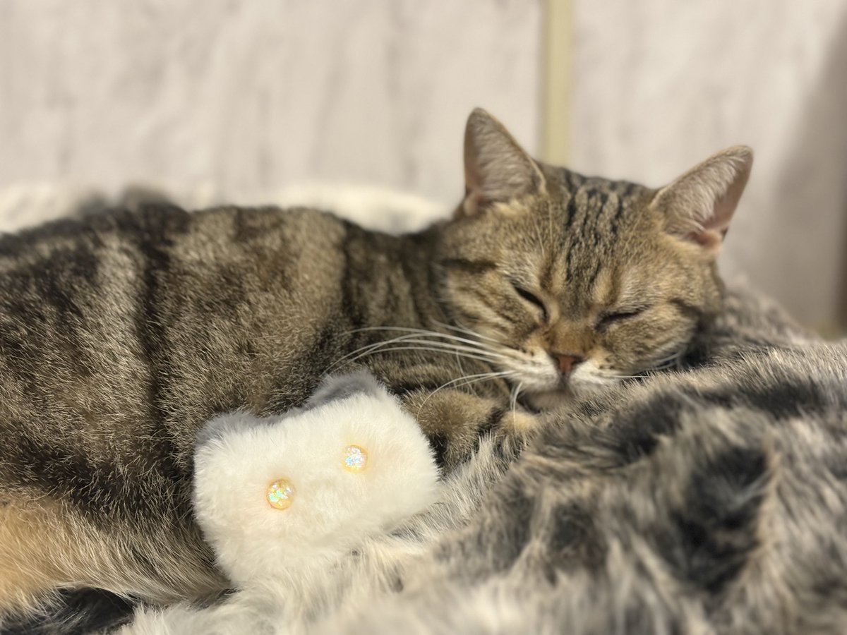 ななみ tweet media