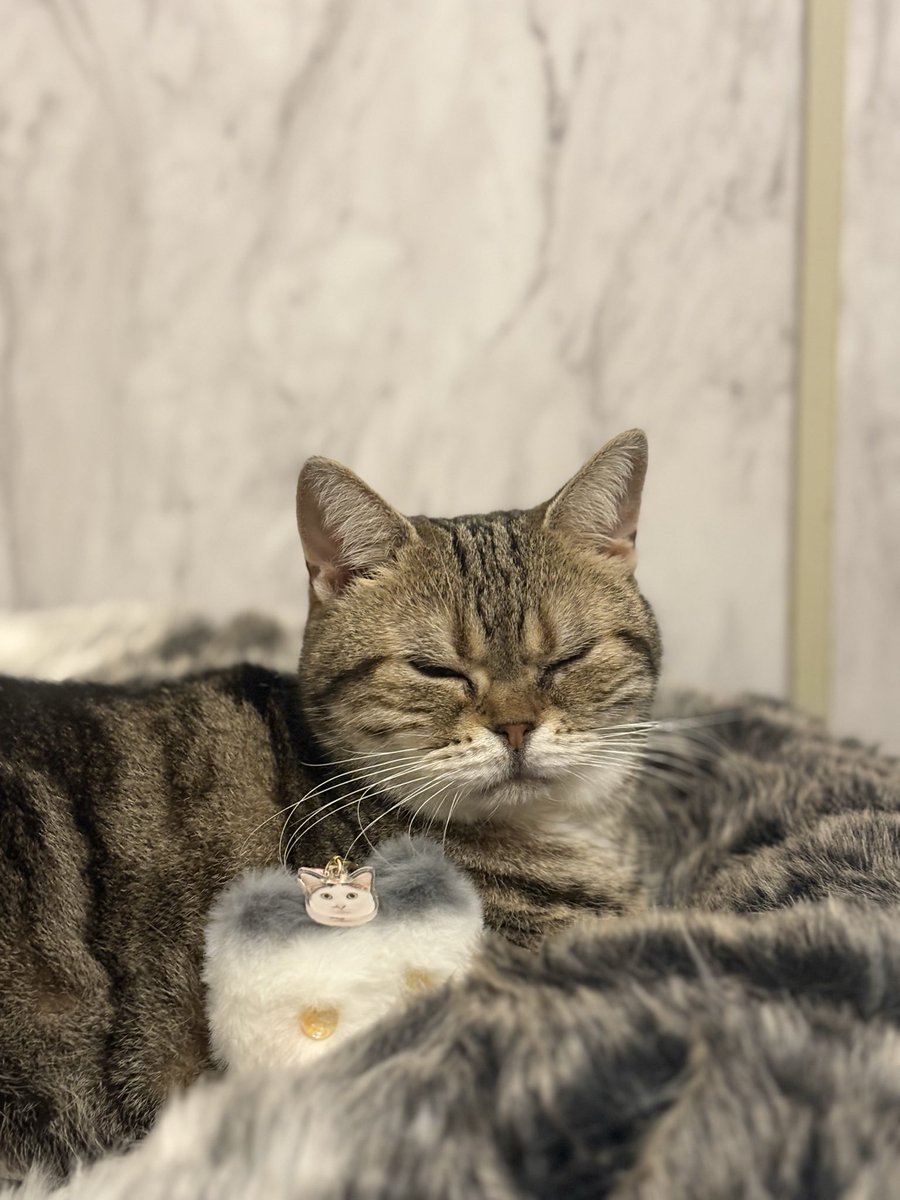 ななみ tweet media