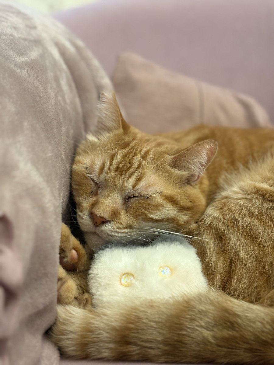 ななみ tweet media