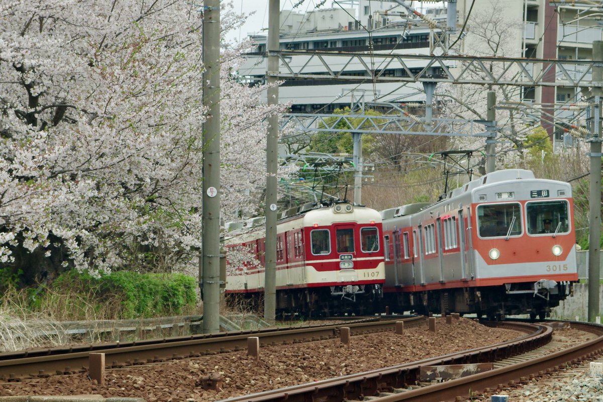 crowiwa's tweet photo. 今週は神戸電鉄の長田駅付近で花見🌸
写真を撮るとその車輌の模型が欲しくなる。
実に面白い…。
＃神戸電鉄
＃神戸電鉄長田駅
＃花見🌸 https://t.co/MQO7i27uYB