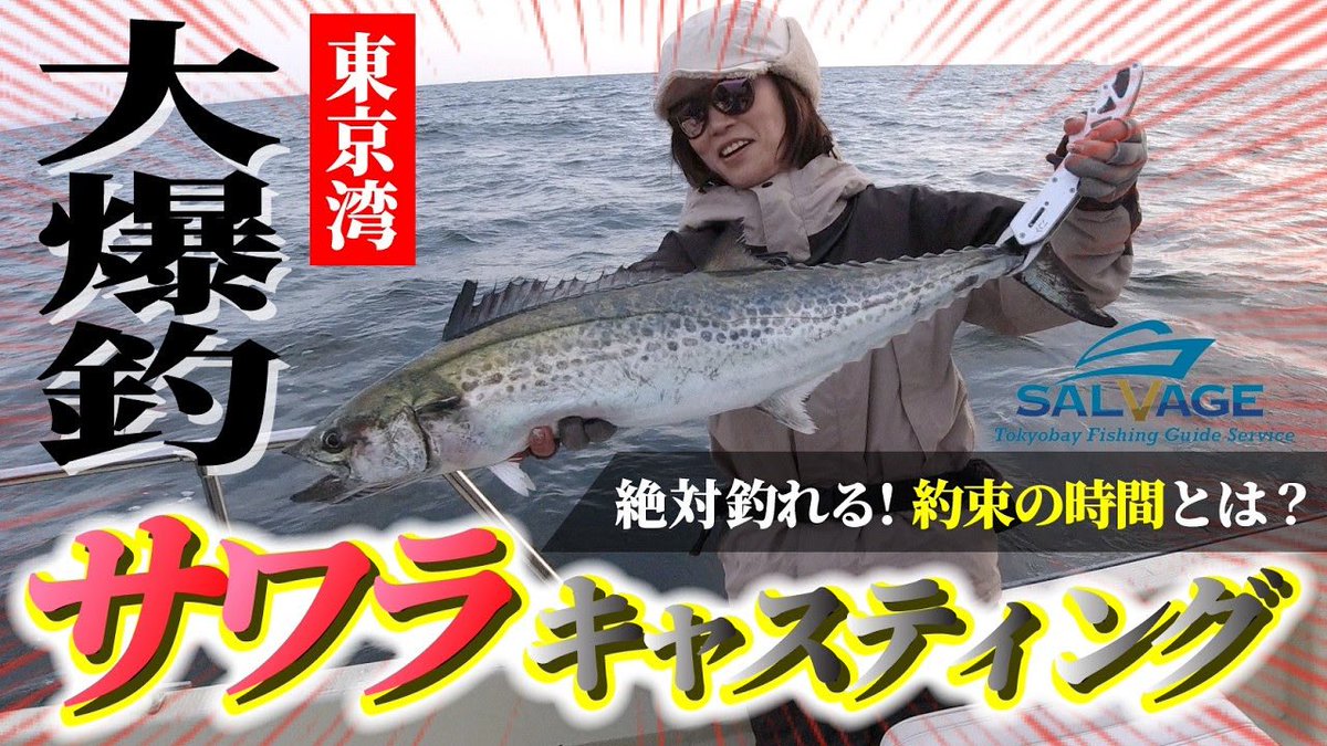 weekend_gel_c's tweet photo. 【サワラ釣り】サワラ大暴れで船上が戦場に！絶対釣れる大チャンス！約束の時間を逃すな！サルベージ　東京湾
https://t.co/hxBwbk3V0A
#サワラ https://t.co/U8fsedRJLj